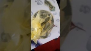 Киа рио оргинальный гур насос