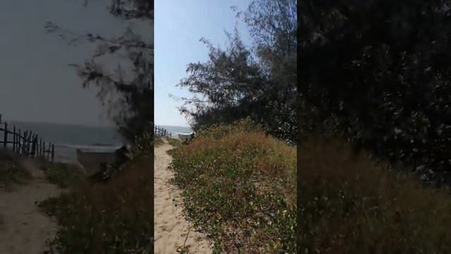 Индия Гоа пляж Ашвем джунгли индийский океан смотреть онлайн