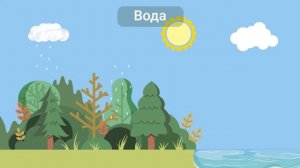 Зачем нужен лес