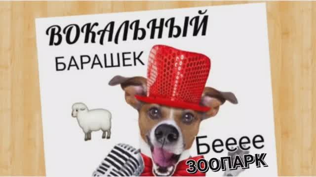 Вокальный ЗООПАРК ?Барашек?Мелизмы? смотреть онлайн
