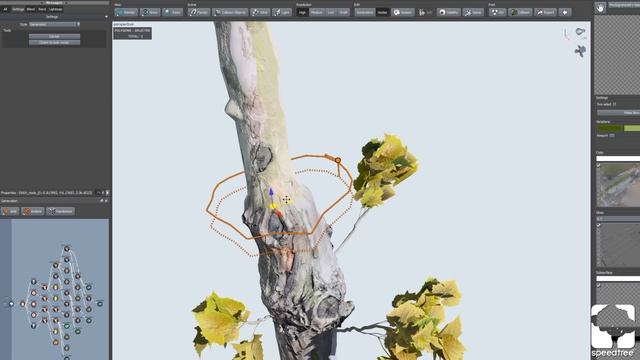 SpeedTree 8.2: Photogrammetry смотреть онлайн