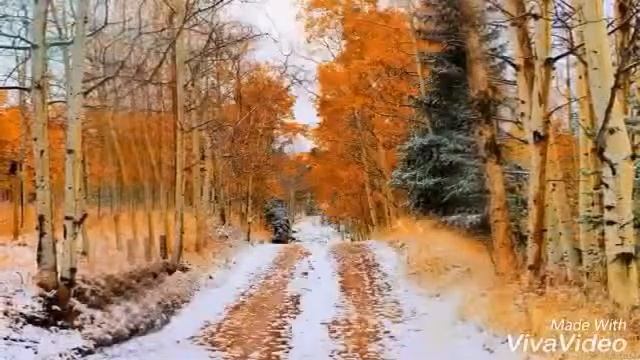 Первый день ноября смотреть онлайн
