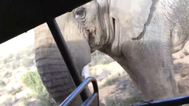 ??Chango caliente 2019??? смотреть онлайн