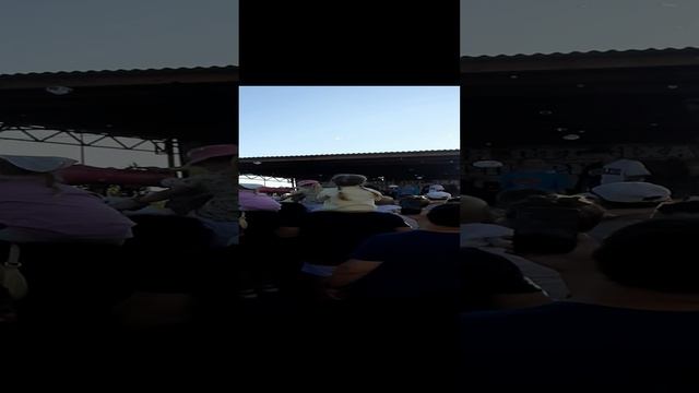 20230805_183140.mp4
