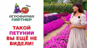 ТАКОЙ ПЕТУНИИ ВЫ ЕЩЁ НЕ ВИДЕЛИ! САМЫЕ КРУТЫЕ СОРТА В ОДНОМ ВИДЕО!