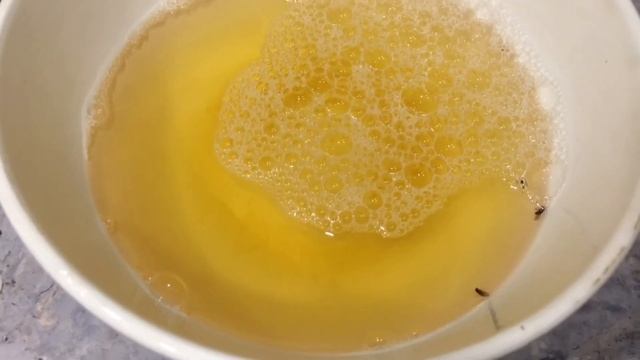 Как избавиться от мошек дрозофила на кухне | Средство работает 100% смотреть онлайн