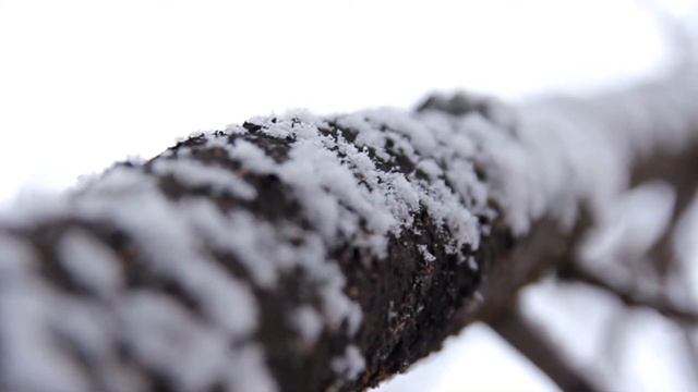 Dealing With Canon 60D's Video Autofocus смотреть онлайн