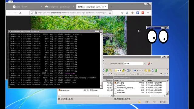 Machine Learning with Python (English) смотреть онлайн