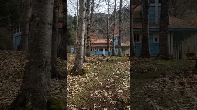 Церковь на реке Карен. Чили. смотреть онлайн