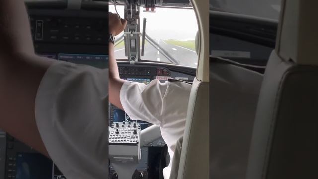 High turbulence rough emergency landing! Cockpit view! Crosswind! ? Fiji ?? Air Twin -Otter смотреть онлайн