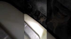 Стук а двигателе мазда 6 GH