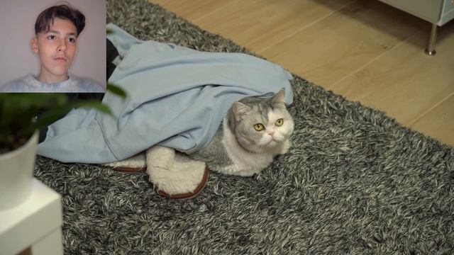 КОРОЧЕ ГОВОРЯ, ПОСМОТРЕЛ СЕРИАЛ - Реакция на OneTwo смотреть онлайн