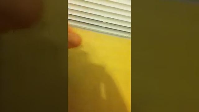 Kodak Easyshare C183 Review