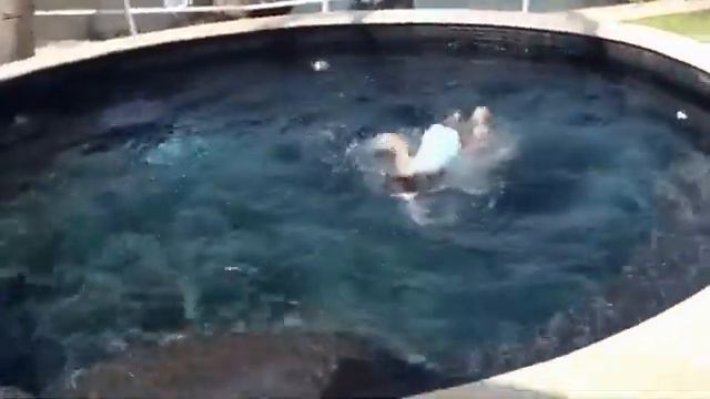 Water Is A Lotta Fun