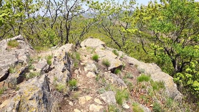 Дом Приморье Д.В. Родина Японское море Жизнь в движение Что после 65 Прогулки Canon 80 D смотреть онлайн