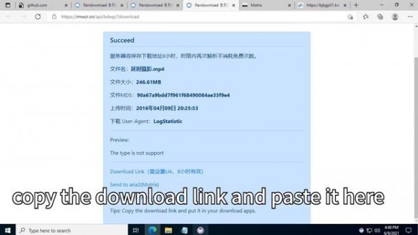 How to download files from pan.baidu.com without login