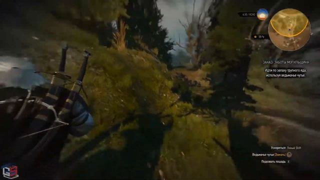 Ведьмак 3 Заказ: "заботы могильщика". Как убить кладбищенскую бабу "Жальницу"? смотреть онлайн