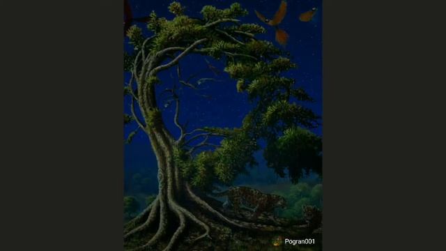 божественное дерево смотреть онлайн