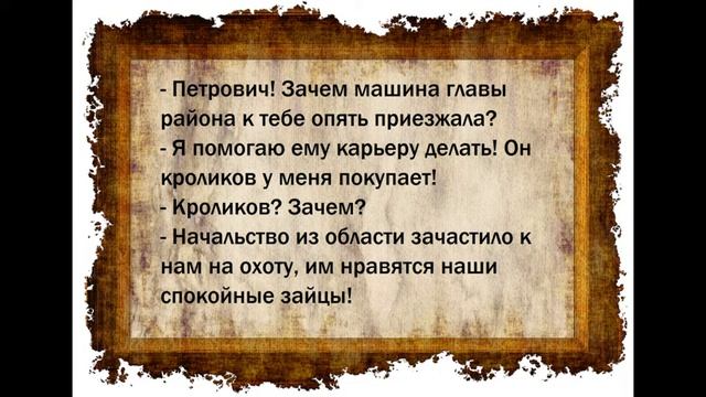 Десятка анекдотов про животных Выпуск 11 смотреть онлайн