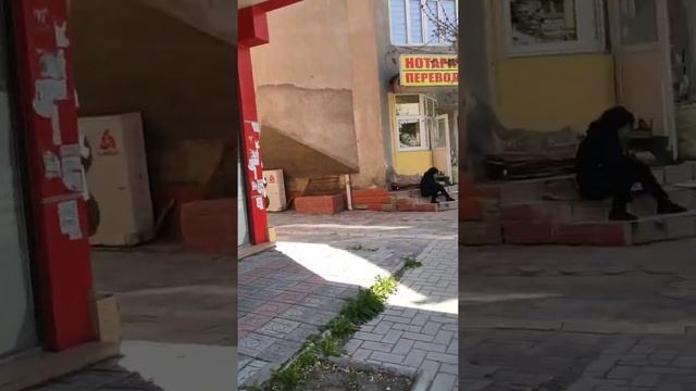 Карантин в Бишкек. Ситуация в Бишкеке на 25 апреля 2020 г. смотреть онлайн