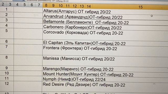 КаталОг луковиц лилии, весна 2024год смотреть онлайн