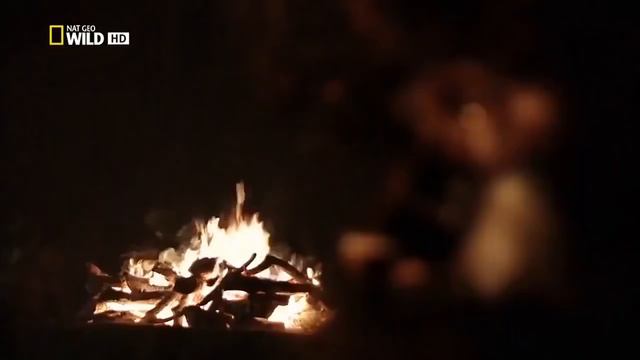 7 EXTRAÑOS y ESCALOFRIANTES SUCESOS HISTORICOS #2 смотреть онлайн