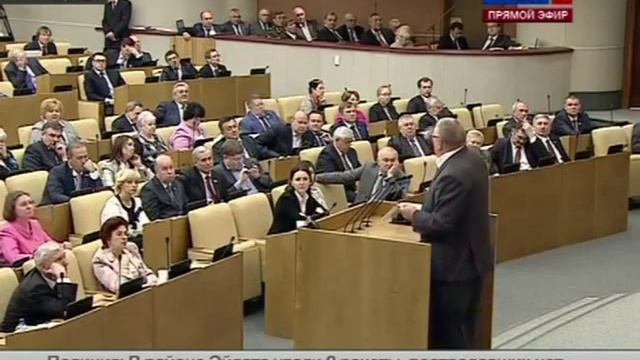 Жириновский. Критика правительства. ГосДума-17.04.13