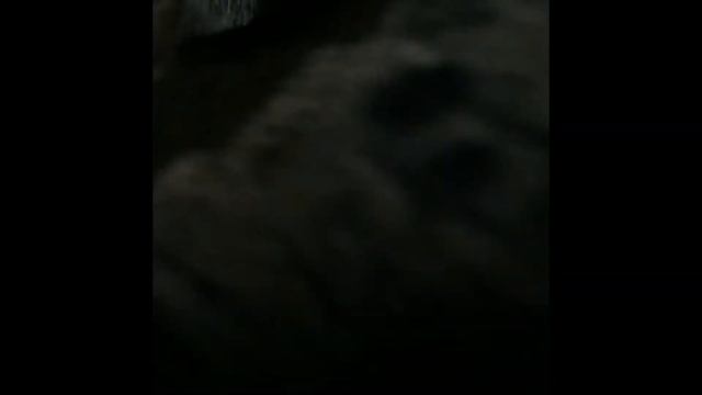 Замена задних амортизаторов форд фокус 3 смотреть онлайн