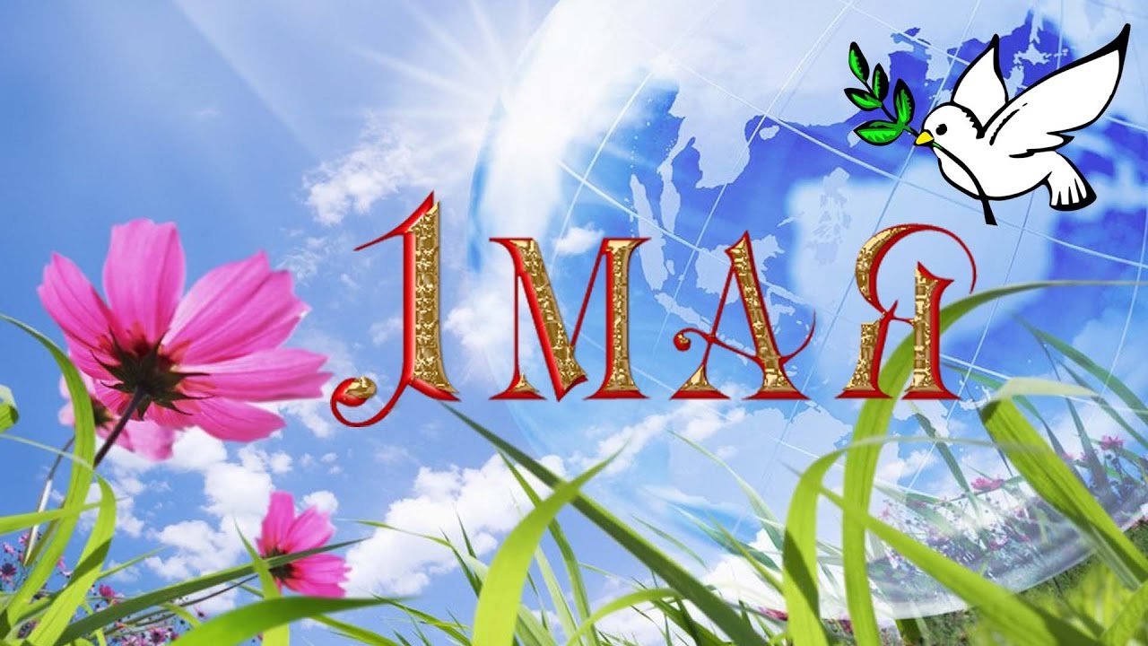 С Первомаем! Открытки и поздравления | Домохозяйка