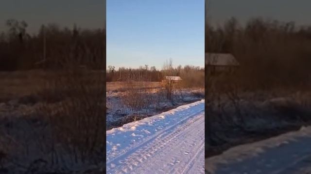 чистят участок от ивняка смотреть онлайн