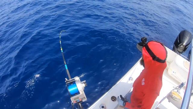 Sword-fishing Explained | Middle Aged Man and The Sea | Catch Clean Cook смотреть онлайн