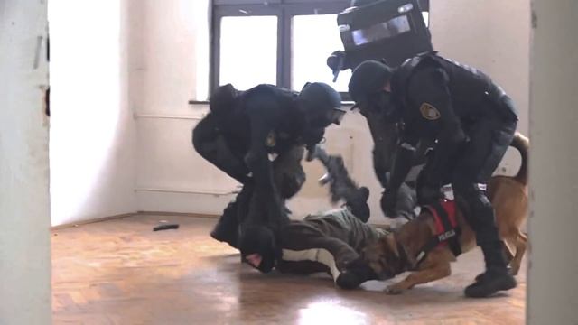 Vježba Upada Sa Službenim Psom Specijalne Policijske Jedinice FUP-a