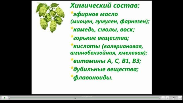 Хмель Лечебные свойства смотреть онлайн