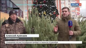 Как правильно выбрать новогоднюю ель и ухаживать за ней — расскажем по ссылке