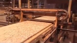 Идея для бизнеса. Производство ОСБ (плиты из ориентированной стружки)