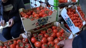 ФУД СИТИ - МОСКВА. обзор цен. МАЙ 2022г