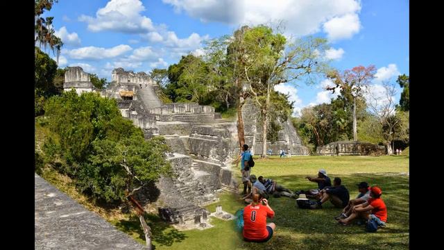 Field Biology: Belize, Guatemala. Полевой класс: Белиз, Гватемала, (2260sp) смотреть онлайн