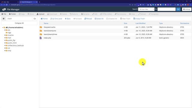 How To Recover Deleted Files From Cpanel File Manager 2023 | Restore Deleted Files On Cpanel смотреть онлайн