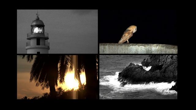 QUATRE D'ONZE Videoclip Subtítulos ESP смотреть онлайн