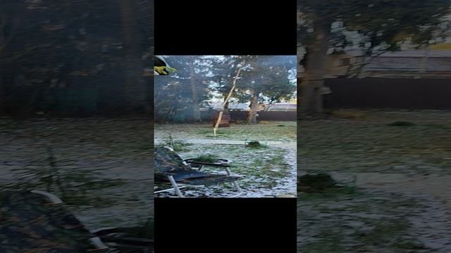 шашлычок под коньячок mp4 смотреть онлайн