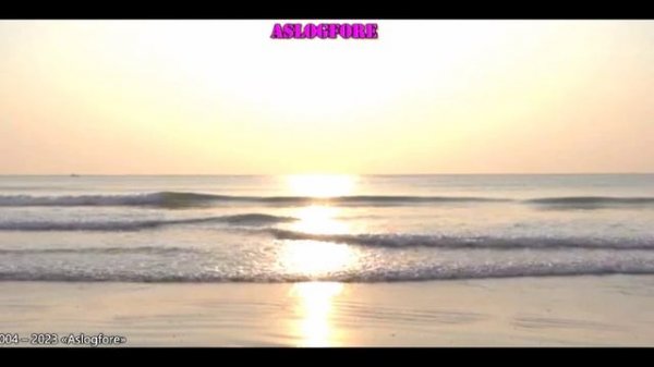 Dima Dark-Forest 11 видео ролик (7.04.2023)