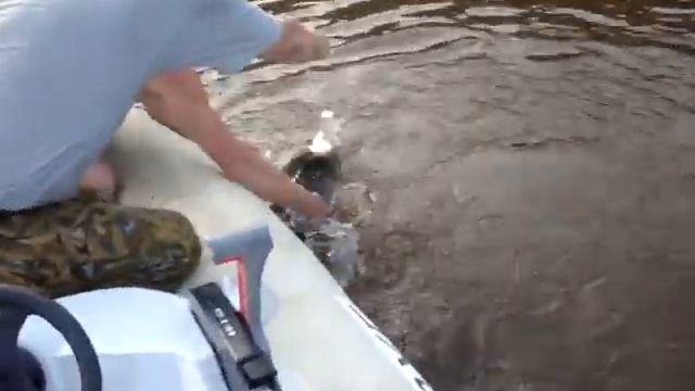 Сом смотреть онлайн