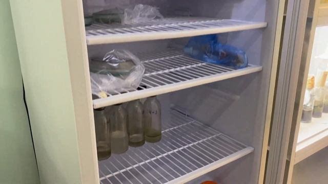 Биогербициды - это реально? | Защита от сорняков смотреть онлайн