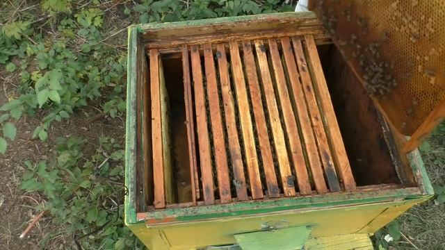 Как готовиться к зиме? СБОРКА, УТЕПЛЕНИЕ ПЧЕЛИНОГО ГНЕЗДА. смотреть онлайн