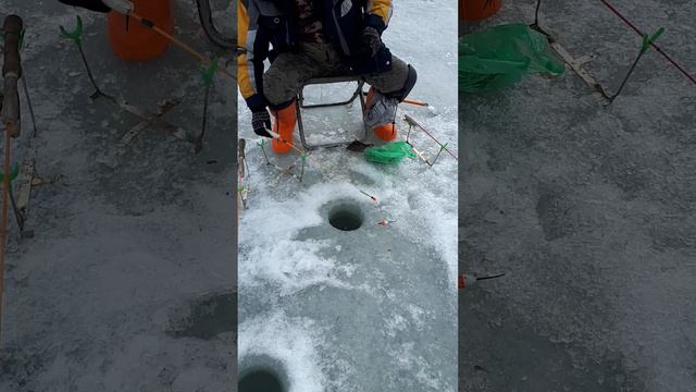 2 марта 2023 г. смотреть онлайн