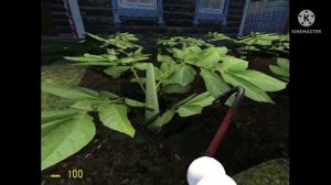 Приключения Неко-арк в России || 1 часть