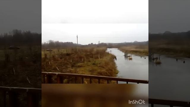Ловля певчих птиц на новом месте. Щеглы. 05.11.2019. Белобородый на последней минуте )) смотреть онлайн