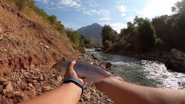 Ловля форели в Центральном Азии (Узбекистан). Catching rainbow trout in Central Asia (Uzbekistan) смотреть онлайн