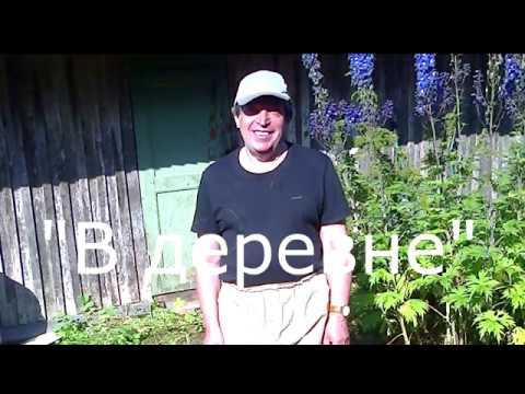 "В деревне" стихи Маргариты Трепалиной, музыка Виктора Аграновича, поёт Алла Михайлова