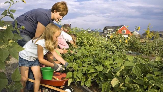Праздник «День дачника в России» в 2021 году отмечается 23 июля смотреть онлайн